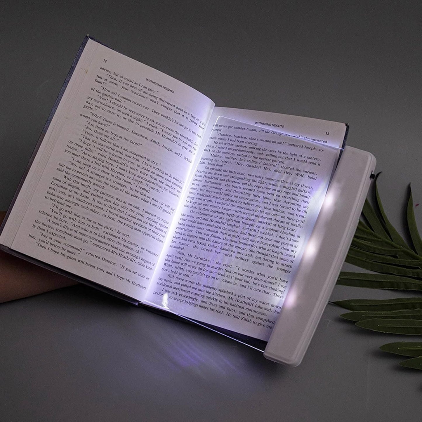 IllumiRead - The Magical Page Light